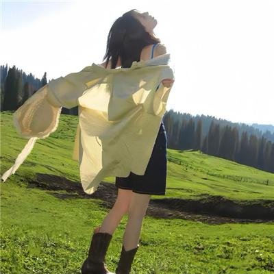 蜘蛛巢城